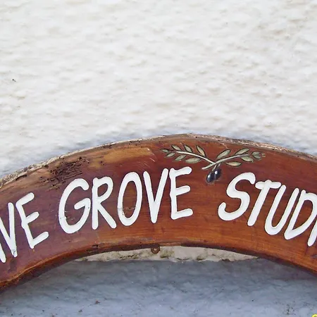Olive Grove Studios Megali Ammos  Exterior photo