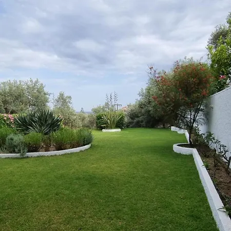 Olive Grove Studios Megali Ammos  Exterior photo