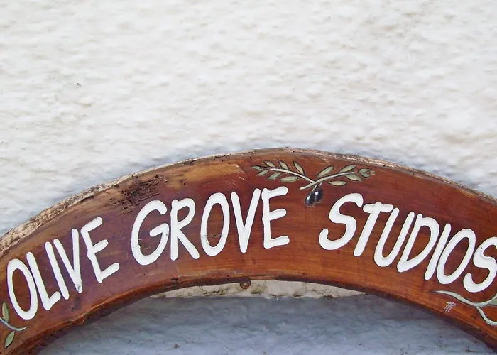 Olive Grove Studios