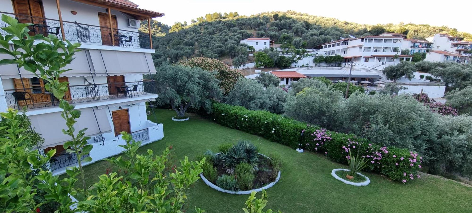 Olive Grove * Megali Ammos (Skiathos)